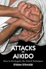 Attacks in Aikido - Stefan Stenudd - 9789178940882