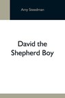 David The Shepherd Boy - STEEDMAN,  Amy - 9789354591372