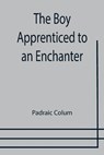 The Boy Apprenticed to an Enchanter - COLUM,  Padraic - 9789355754196