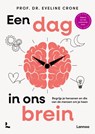 Een dag in ons brein - Eveline Crone - 9789401401494