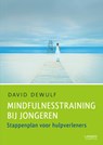 Mindfulnesstraining bij jongeren - David Dewulf - 9789401401876