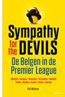 Onze Belgen in de Premier League - Raf Willems - 9789401419253