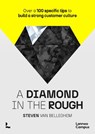 A diamond in the rough - Steven Van Belleghem - 9789401495462