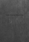 Grote zinloze grijze zone - Damien De Coene ; Quinten De Coene - 9789402143911