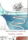 Waar de monsters nu naartoe zijn - Sandrine Lambert - 9789402159257