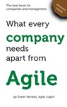 What every company needs apart from Agile - Erwin Verweij - 9789402167115