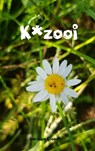 K*zooi - Larissa Cloudt - 9789402184808