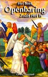 Het boek Openbaring Zoals Het Is - Gerard Meerstadt - 9789402187267