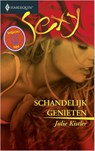 Schandelijk genieten - Julie Kistler - 9789402503722
