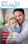 Stormachtige ontmoeting - Marion Lennox - 9789402560206