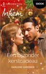 Een bijzonder kerstcadeau - Darlene Gardner - 9789402566499