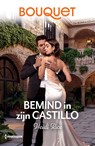 Bemind in zijn castillo - Heidi Rice - 9789402585612