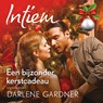 Een bijzonder kerstcadeau - Darlene Gardner - 9789402773347