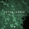 De gebeurtenis - Peter Terrin - 9789403130064