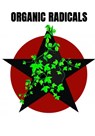 Organic Radicals - René Oudeweg - 9789403693590
