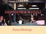 DE STORTBUI VOORBIJ - Pieter Nelletje - 9789403701240