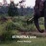 SUMATRA 2000 - Pieter Nelletje - 9789403702025