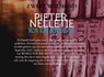 KATHARSIS II - Pieter Nelletje - 9789403712680