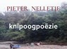 knipoogpoëzie - Pieter Nelletje - 9789403718897