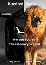 Bundled Books: Are You Your Car? | The Esteem You Need - Cindy Mezas Esther Samboe - 9789403772257