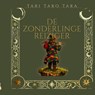 De Zonderlinge Reiziger - Imke Gaiser Verhaeren - 9789403818894