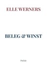 BELEG & WINST - ELLE WERNERS - 9789403826387