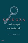 Spinoza en de vreugde van het inzicht - Kees Schuyt - 9789460034060