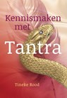 Kennismaken met Tantra - Tineke Rood - 9789460151729