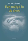 Een meisje in de sloot - Dries Linssen - 9789461550828