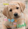 Van pup tot hond - Camilla de la Bedoyere - 9789461750174