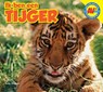 Tijger - Steve Macleod - 9789461750884