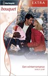 Een winterromance - Shirley Jump - 9789461993953