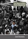 The silent screams from Myanmar - David Brandsma - 9789462170384