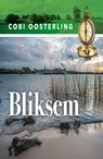 Bliksem - Cobi Oosterling - 9789462175501