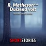 Duizend volt - Robert Morris ; Richard  Matheson - 9789462178328