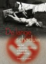 De lange schaduw van het nationaalsocialisme in kunst en samenleving - Gregor Langfeld - 9789462624399