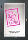 De Aanschouw - Edo Dijksterhuis - 9789462625341