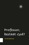 Professor, bestaat God? - Peter Barthel - 9789462984639