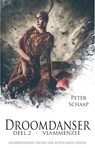 Vlammenzee - Peter Schaap - 9789463083577
