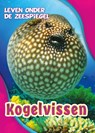 Kogelvissen - Rebecca Pettiford - 9789463412810