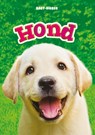 Hond - Kari Schuetz - 9789463413176