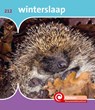 Winterslaap - Minke van Dam - 9789463416061