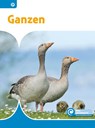 Ganzen - Bouwina de Ridder - 9789463418393