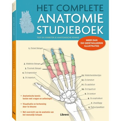 Het complete anatomie studieboek, Ashwell, Ken - Paperback - 9789463592680