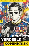Verdeeld Koninkrijk - Niels Posthumus - 9789463824279