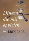 Dingen die mij opvielen - Erik Pape - 9789463863100