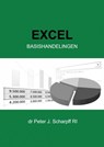 Excel Basishandelingen - Dr Peter J. Scharpff RI - 9789464059656