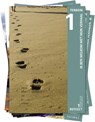 Reflect 1 - Mieke Vanraes ; Hilde Van den Steen - 9789464205091
