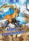 Alpen Steenbokken - Kaitlyn Duling - 9789464391022