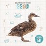 De levensloop van een eend - Shalini Vallepur - 9789464395495